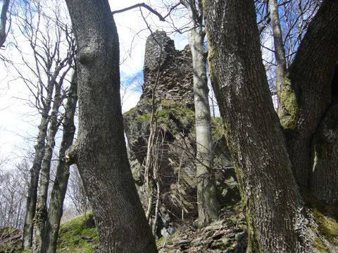 Foto 11